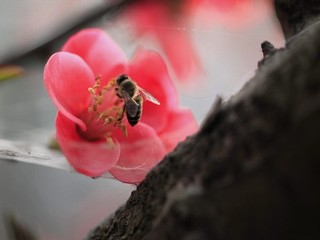 小草影视传媒