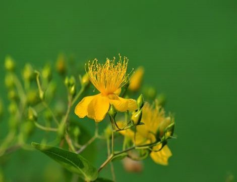 星空影视文化传媒在线免费观看