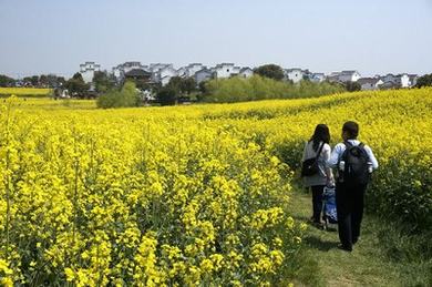 校花陈冰嫣水泥匠txt小说