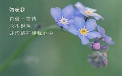 满洲里洗浴中心俄罗斯