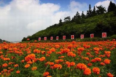 美国专线欧洲专线日本