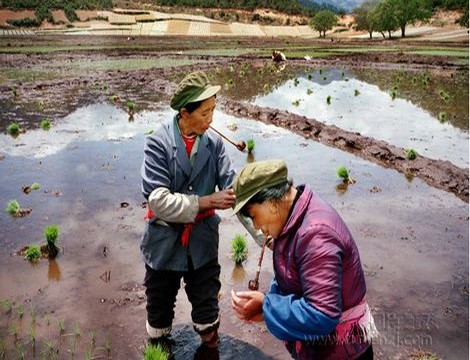 芒果回家视频永久回家现在改了吗