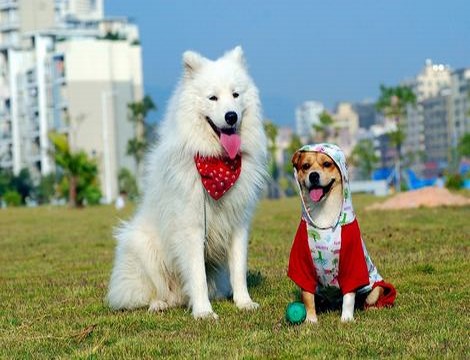 运动姿势108招图片