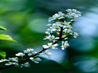 附近约100块钱上门电话